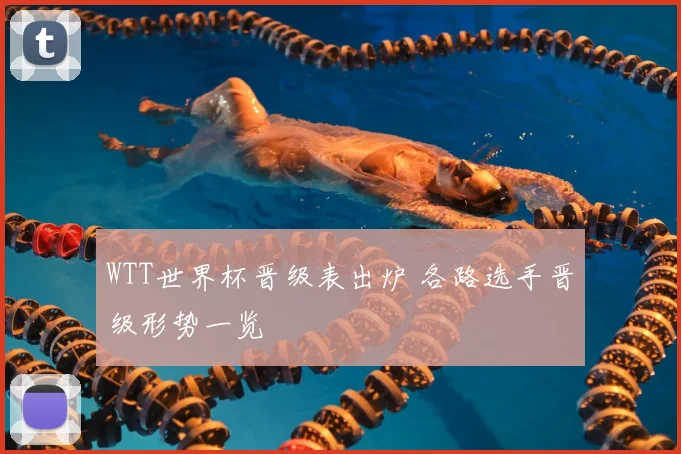 WTT世界杯晋级表出炉 各路选手晋级形势一览